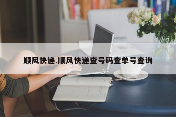 顺风快递.顺风快递查号码查单号查询
